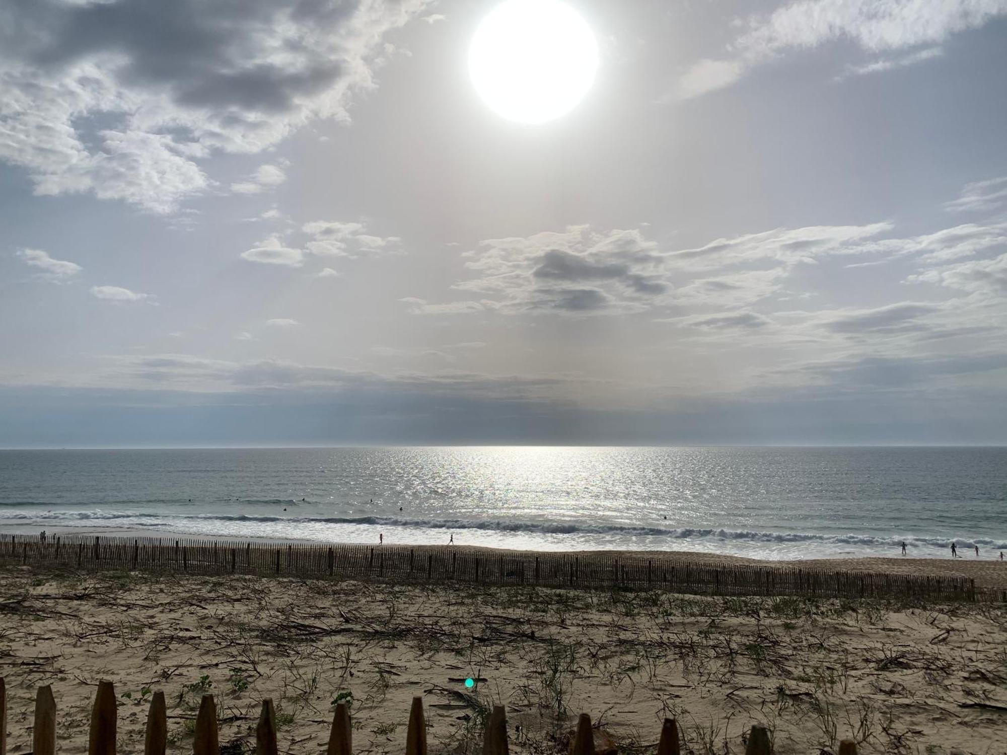 Appartement Rez-De-Chaussee Entre Dunes Et Ocean ラカノー エクステリア 写真